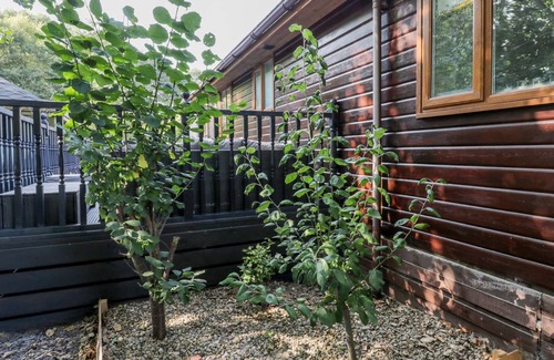 Wilberfoss Kabine | No. 77- Honey Bee Lodge, WILBERFOSS