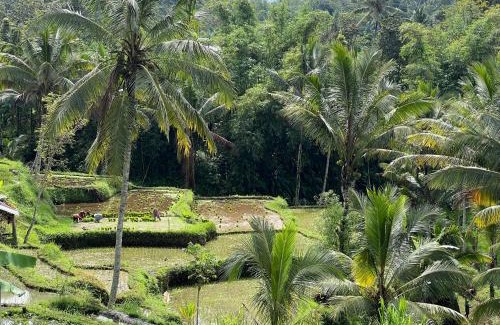 Tetebatu Hotel | Nona Lodge