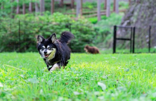 Atami Haus | Nonsmoking Rental villa with dog run and hot sp/Atami Shizuoka