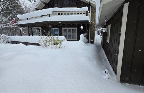 Michaywe Skihütte | Northern Comfort Chalet with WiFi in Gaylord