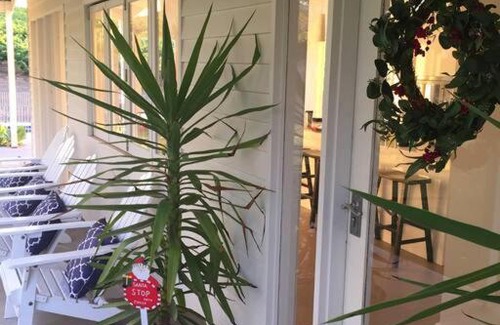 Spring Farm Haus | O'Briens of Clare - Stylish Pet Friendly Vineyard Accommodation