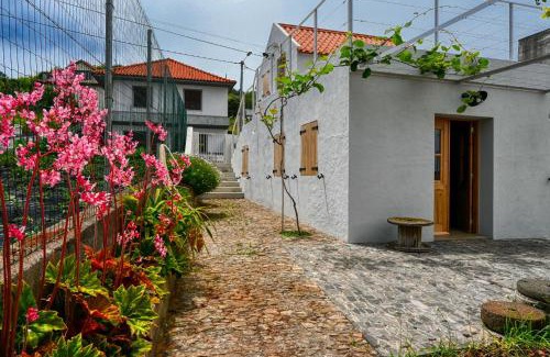 Sao Jorge Haus | O Lagar do Avô, a Home in Madeira