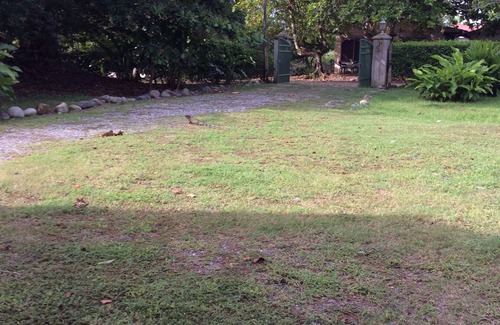 Sierpe Haus | Zugang zum Meer, Ausgangspunkt für Angeln, Kajakfahren, Vogelbeobachtung und Flusstouren.