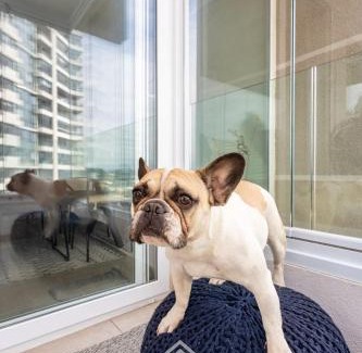 Renaca Wohnung | Ocean and forest views, perfect for you