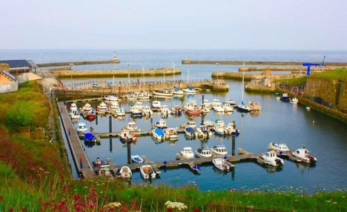 Crimdon Haus | Ocean Nest-Beach Front - Lux- Sea View- 3-Bedroom Caravan- 8 Sleeps