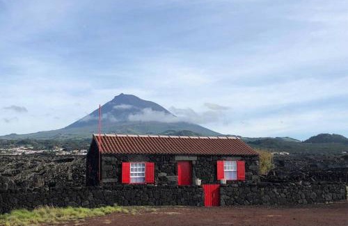 Madalena Haus | Ocean view in UNESCO Heritage Site