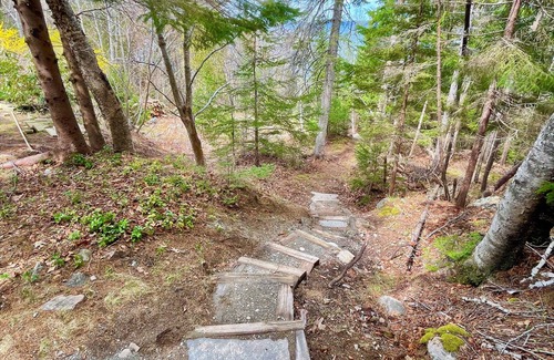 Salsbury Cove Haus | Oceanfront home only 2 miles to Acadia Natl Park & close to downtown Bar Harbor
