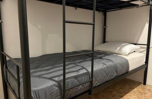 Nyuh Kuning Haus | ODA Guest House Ubud