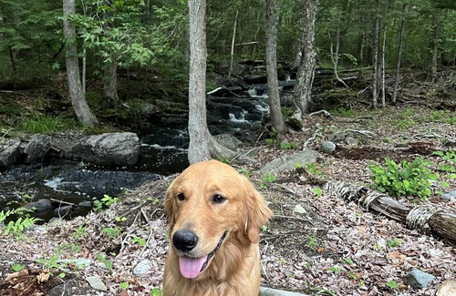 Sheridan Kabine | Off Grid Cabin Adventure Getaway-ATV & Snowmobile Haven