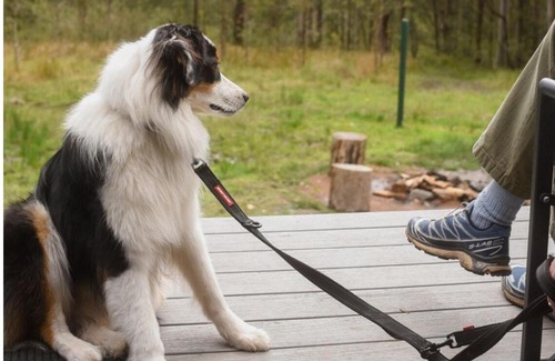 Main Creek Haus | Off-Grid Cabin Deep in Nature - Pet Friendly - Barney