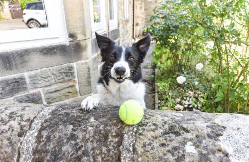 Alfreton Haus | Old Horns Cottage, Higham Derbyshire