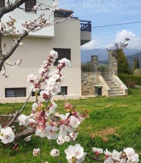 Ano Lechonia Haus | Olive View Cottage in Pelion