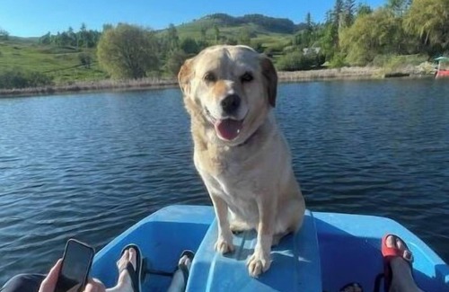 Kettle Falls Hütte | Oma’s Lakefront Cottage: Fish/Boat/Swim from dock