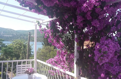 Slano Wohnung | 1-Zimmer-Ferienwohnung am Strand Slano, Dubrovnik (A-8599-a)