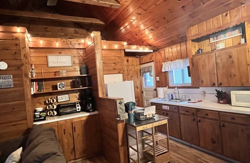 Higgins Lake Kabine | Only 500 feet from Higgins Lake with shared lake access