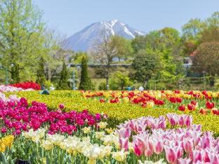 Kaike Onsen Hotel | Ooedo Onsen Monogatari Kaike