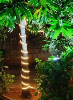 Courtallam Wohnung | Oonjal Veedu-Renovated Recently