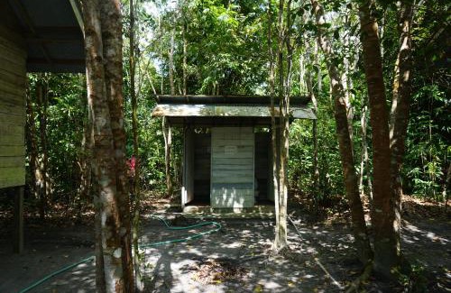 Kalimantan Kabine | Orangutan & Restoration Camp