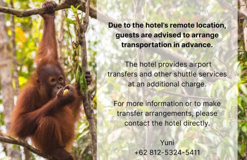 Kalimantan Kabine | Orangutan & Restoration Camp