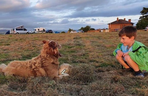 Forest of Dean Haus | Orchard Family Yurt, Willow Hill