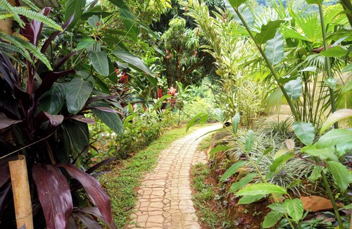 Minca Wohnung | Oropendula tukamping cabin