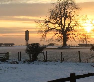 Easterside Bed & Breakfast | Oscar Park Farm