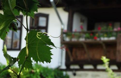 Osmar Haus | Osmarski Houses