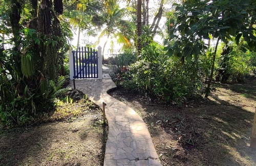 Forest Home Wohnung | Our Sea of Blue Suite faces the Caribbean and awaits you