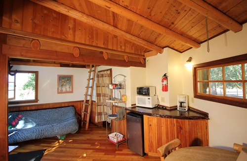 Cave Junction Haus | Out 'N' About Treehouse Treesort