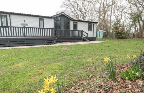 Wimborne Haus | Owls Nest