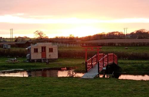 Lyonshall Sonstige | Ox Box Cabin Lyonshall Kington