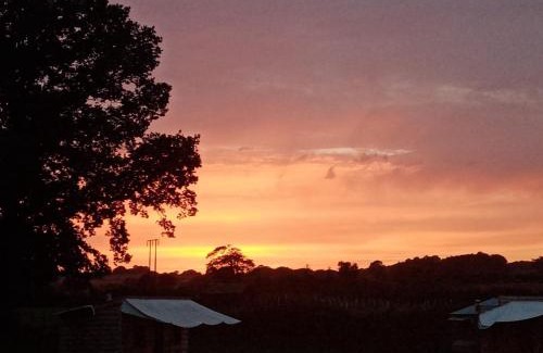 Lyonshall Sonstige | Ox Box Cabin Lyonshall Kington