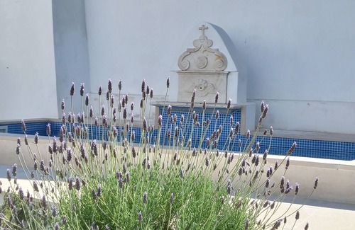 Evora Haus | Páteo dos Oliveira - Casa da Cocheira