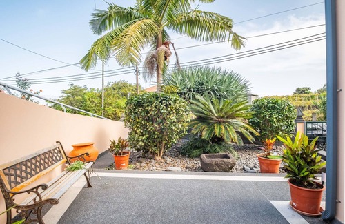 Ponta Delgada Skihütte | Palm Tree House by Madeira Sun Travel
