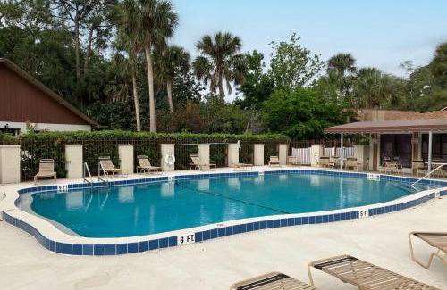 Port Orange Haus | Palm Tree Reverie