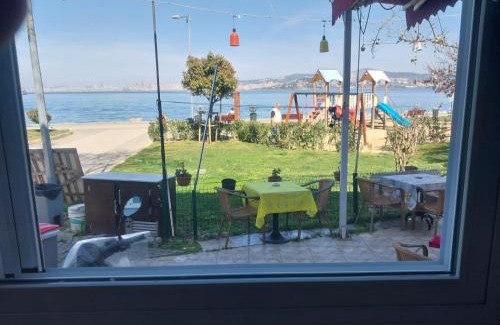 Adalar Haus | Palmiye Pansiyon