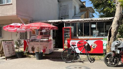 Adalar Haus | Palmiye Pansiyon