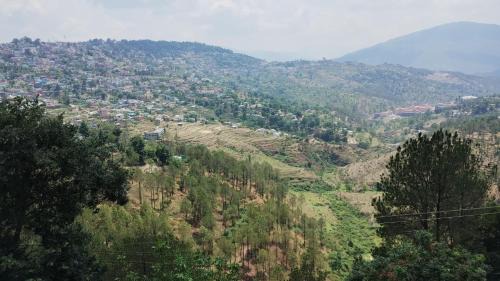 Almora Haus | PandeyGuestHouse