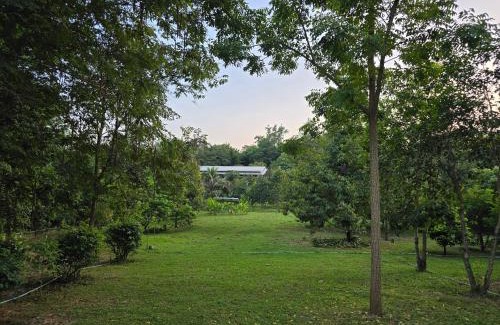 Suan Phueng Haus | PapaVacay สวนผึ้ง