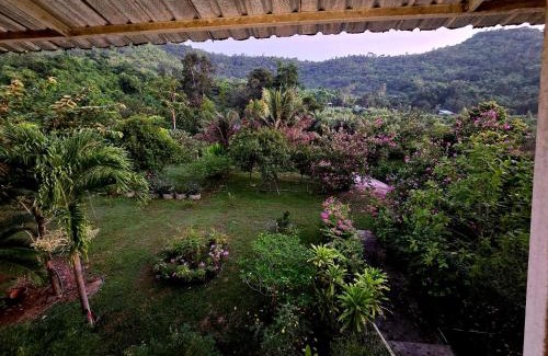Suan Phueng Haus | PapaVacay สวนผึ้ง