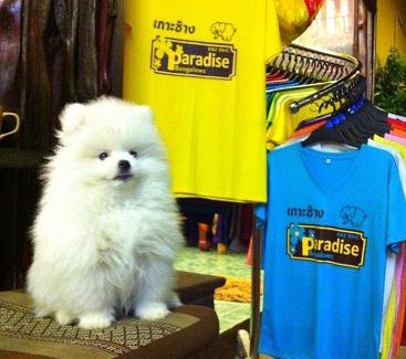 Ko Chang Resort | Paradise Bungalows