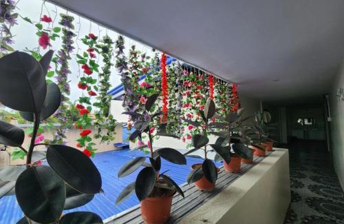 Ubay Bed & Breakfast | paradise house