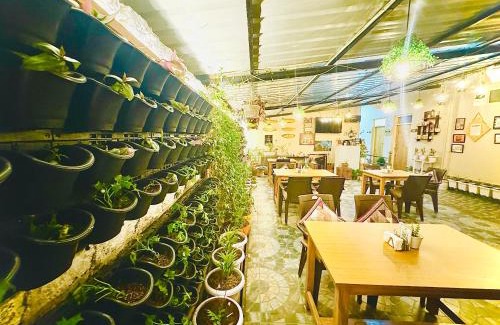 Ghanyara Khas Haus | Paradise Inn by HBR