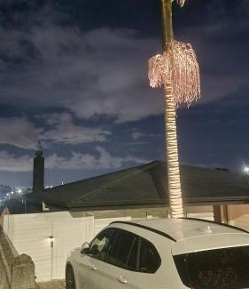 Mairangi Bay Bed & Breakfast | Paradise on the Shore Auckland with large Spa Pool