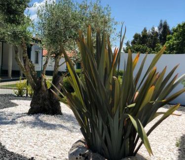 Sao Martinho do Porto Haus | Paradise Valley House