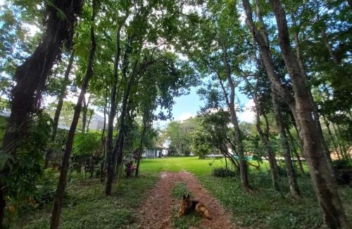 Posadas Wohnung | Parana Riverside Guest House - Posadas