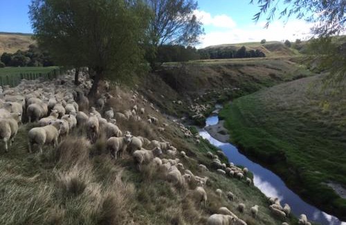 Waipukurau Haus | Paratu Farm Cottage in a quiet rural setting.