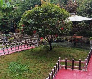 Wulingyuan Haus | Park One B&B Zhangjiajie Forest Park Scenic Area Shop
