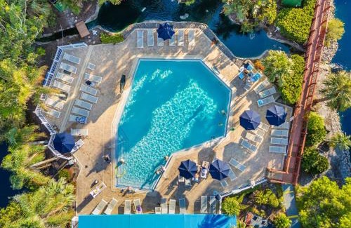 Park Shore Resort | Park Shore Resort by Mike Z Rentals