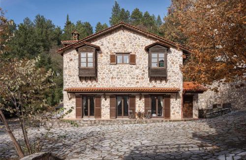 Amfikleia-Elateia Skihütte | Parnassus Woodstone Chalet